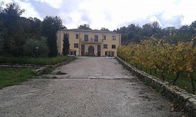 Immagine immobile